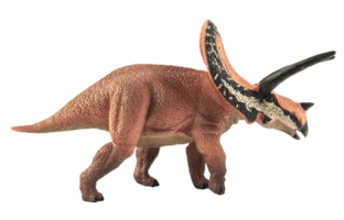 Torosaurus, Dinosaurier auf weißem Hintergrund. png