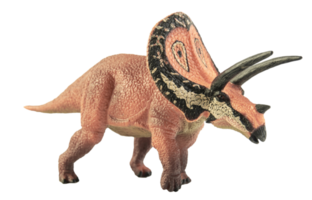 torosaurus, dinosaure sur fond blanc. png