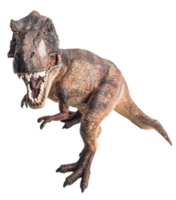 Tyrannosaurus t-rex, dinosaure sur fond blanc png