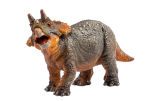 triceratops, dinosaurio sobre fondo blanco. trazado de recorte png