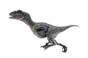 Dinosaurier, Velociraptor auf weißem Hintergrund. png