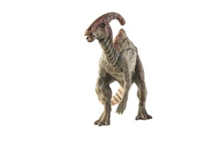 dinosaurio parasaurolophus sobre fondo blanco png