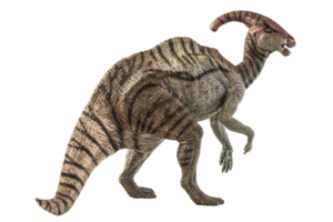 dinosaurio parasaurolophus sobre fondo blanco png