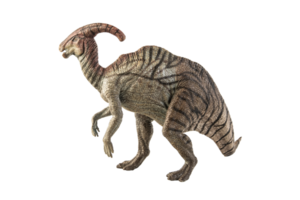 Parasaurolophus-Dinosaurier auf weißem Hintergrund png