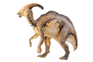 Parasaurolophus, Dinosaurier auf weißem Hintergrund. png