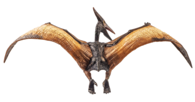 Pteranodon Pterodaktylus Dinosaurier auf weißem Hintergrund png