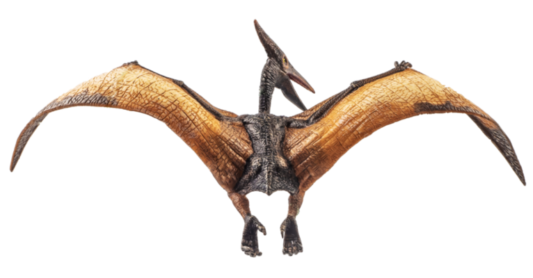 Pterosaur Pteranodon White with Fur PNG Images & PSDs for Download