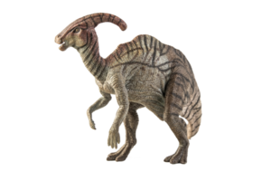 dinosauro parasaurolofo su sfondo bianco png