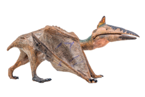 quetzalcoatlus, dinosauro su sfondo bianco