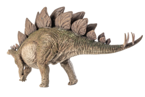 Stegosaurus-Dinosaurier auf weißem Hintergrund png