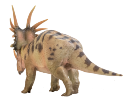 dinosaurio styracosaurus sobre fondo aislado png