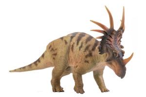 dinosaurio styracosaurus sobre fondo aislado png