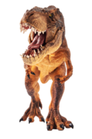 tyrannosaurus t-rex, dinosaurie på vit bakgrund png