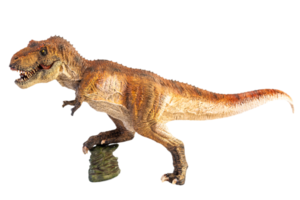 Tyrannosaurus t-rex, dinosaure sur fond blanc png