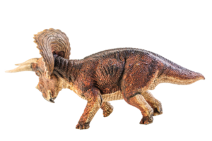 triceratops, dinosaurio sobre fondo blanco. trazado de recorte png