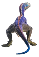 dinosaur , Velociraptor on white background . png