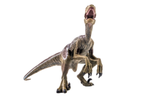 dinossauro, velociraptor em fundo branco. png