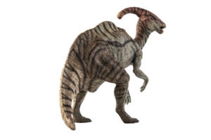 dinosaurio parasaurolophus sobre fondo blanco png