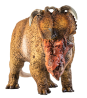 pachyrhinosaurus, dinosauro su sfondo bianco. png