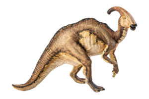 Parasaurolophus  , dinosaur on white background . png