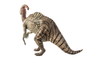 dinosaure parasaurolophus sur fond blanc png