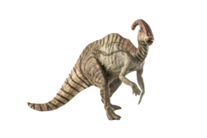 dinossauro parasaurolophus em fundo branco png
