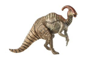 dinosaure parasaurolophus sur fond blanc png