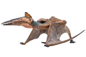 Quetzalcoatlus ,dinosaur on white background png