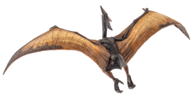 pteranodon pterodattilo dinosauro su sfondo bianco png