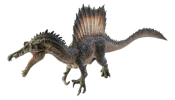 Spinosaurus, Dinosaurier auf weißem Hintergrund. png