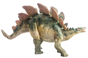 dinosaur , Stegosaurus  on white background png