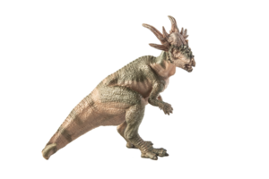 dinosaurio stygimoloch sobre fondo blanco png