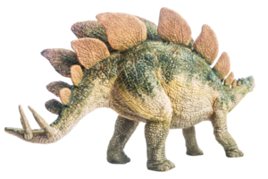 dinossauro, estegossauro em fundo branco png