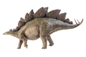 Stegosaurus-Dinosaurier auf weißem Hintergrund png