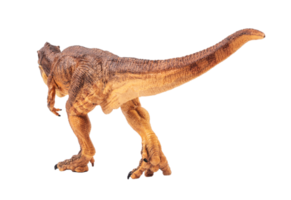 Tyrannosaurus t-rex, dinosaure sur fond blanc png