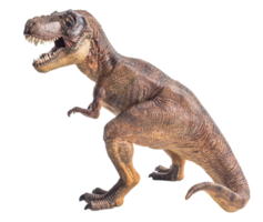Tyrannosaurus T-rex ,dinosaur on white background png