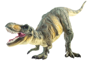 tiranosaurio t-rex, dinosaurio sobre fondo blanco png