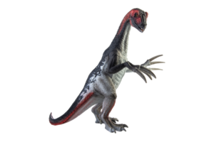 Amargasaurus, Dinosaurier auf weißem Hintergrund png