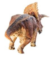 triceratops, dinossauro em fundo branco. caminho de recorte png