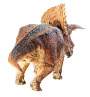 Triceratops, Dinosaurier auf weißem Hintergrund. Beschneidungspfad png