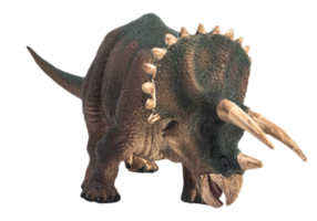 triceratopo, dinosauro su sfondo bianco. tracciato di ritaglio png