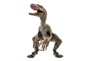 dinosaur , Velociraptor on white background . png