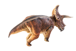 tricératops, dinosaure sur fond blanc. chemin de détourage png