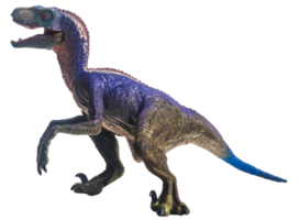 dinosaur , Velociraptor on white background . png