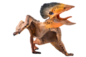 dinosaurio pterodáctilo tupuxuara sobre fondo blanco png