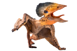 tupuxuara pterodactyl dinosaurie på vit bakgrund png