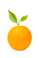 Orange fruit on white background png