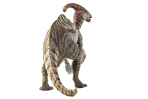 dinosaurio parasaurolophus sobre fondo blanco png