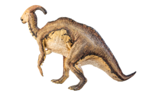 parasaurolophus, dinosaurio sobre fondo blanco. png