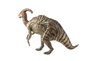 dinosaurio parasaurolophus sobre fondo blanco png